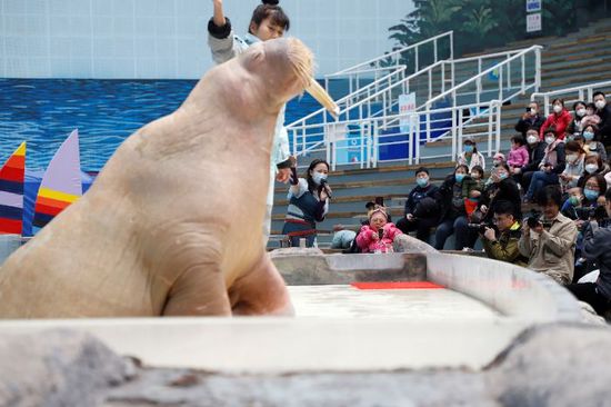 3890d99dee3047b0a9d5724c0b54e898_s